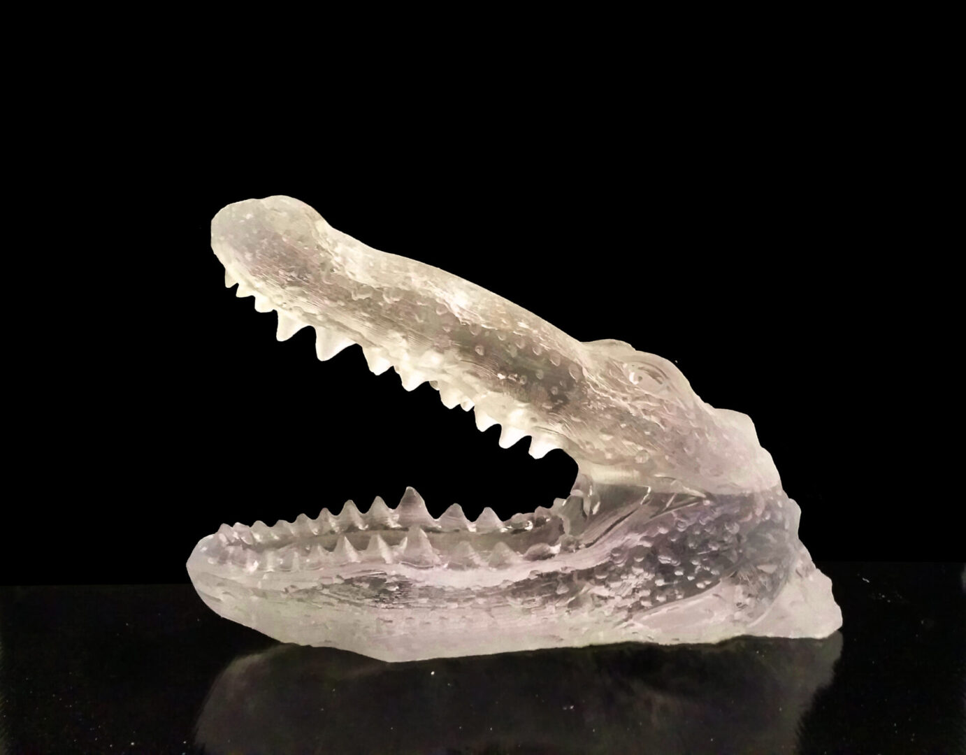 Alligator Head