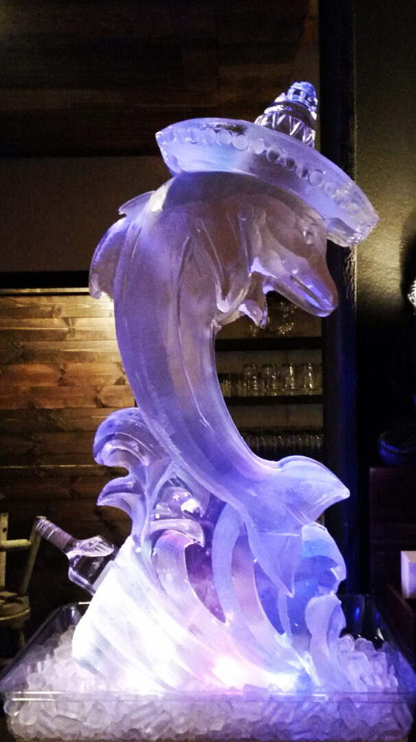 Mexican Dolphin Luge