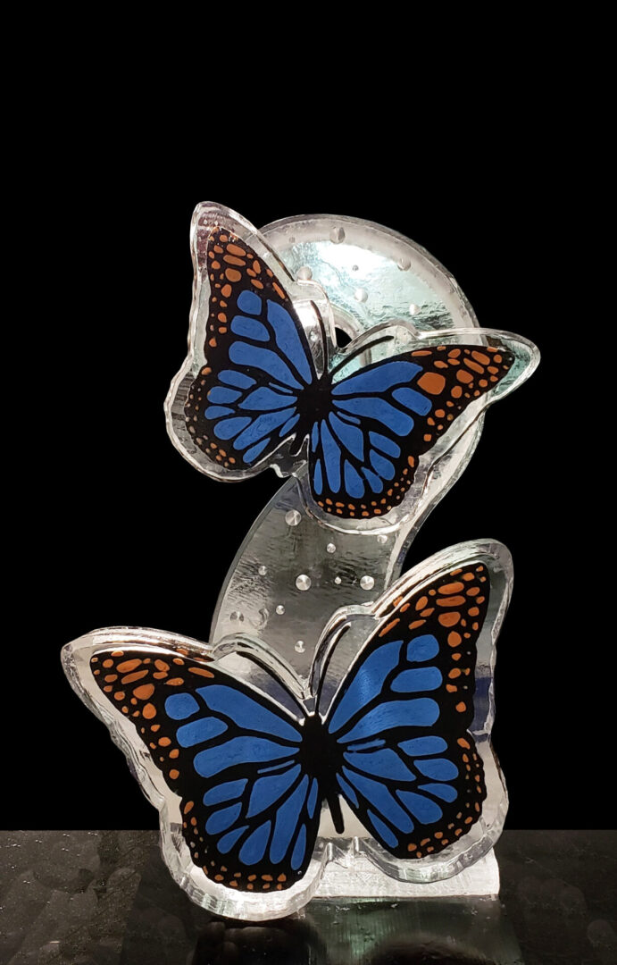 Butterflies In Color