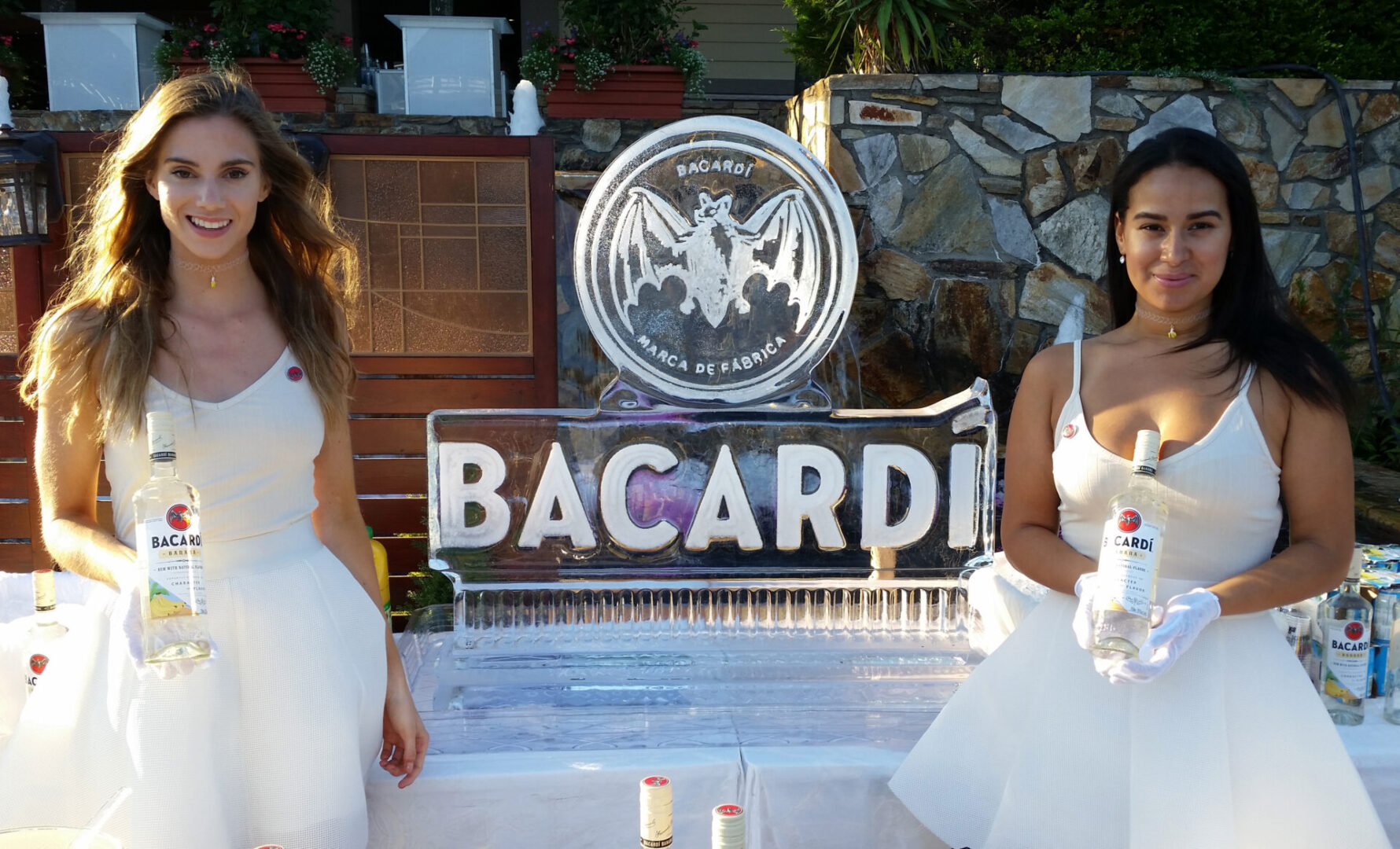 Bacardi Display
