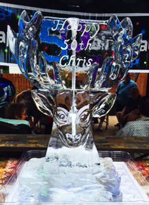Deer Head Luge