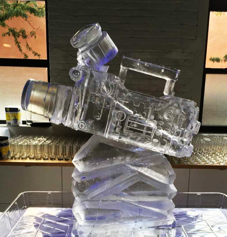 ARRI ALEXA Camera Luge