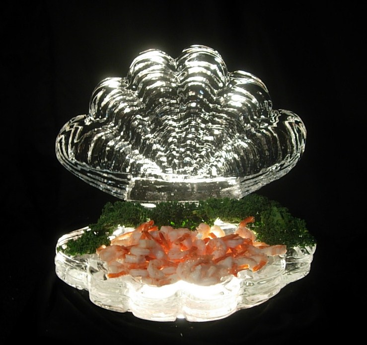 Clam Shell Set Small