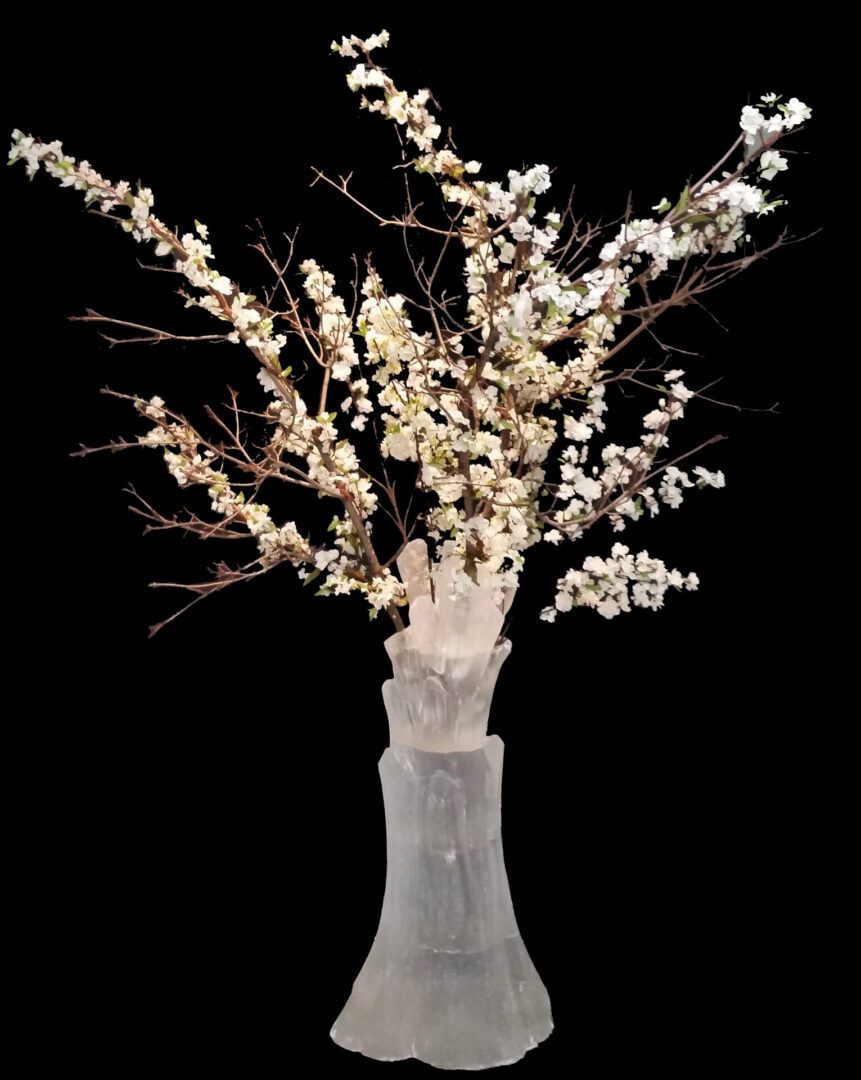 Tree Trunk With Branches