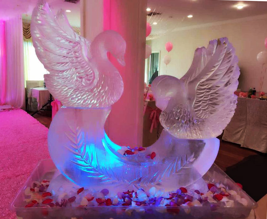 Swan Display 2 Blocks